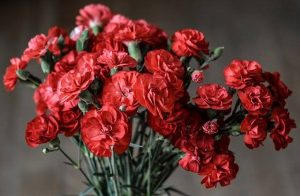 Які квіти принести на похорон